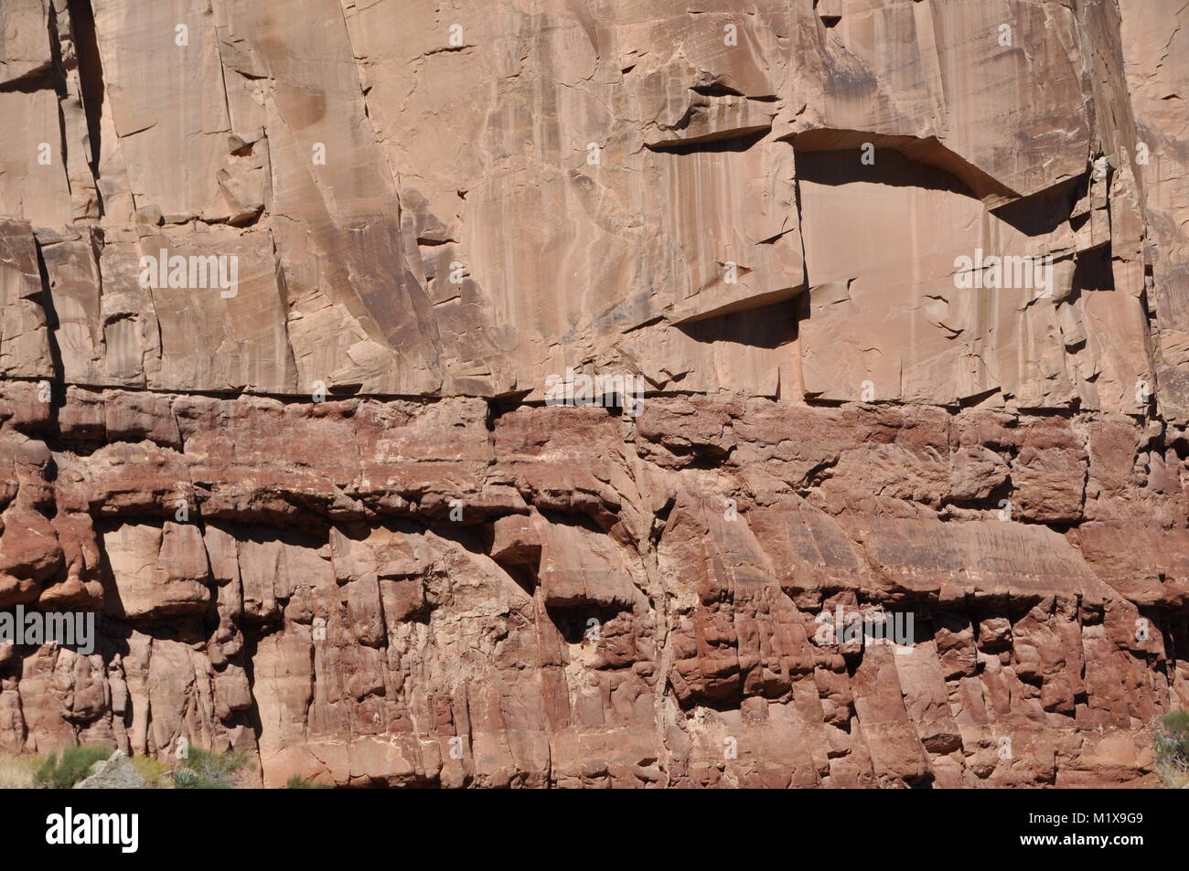 Sandstein klastische Deich aus dem Perm Coconino Sandstein in die zugrunde liegenden Einsiedler Schiefer injiziert, Bright Angel Trail, Grand Canyon National Park Stockfoto