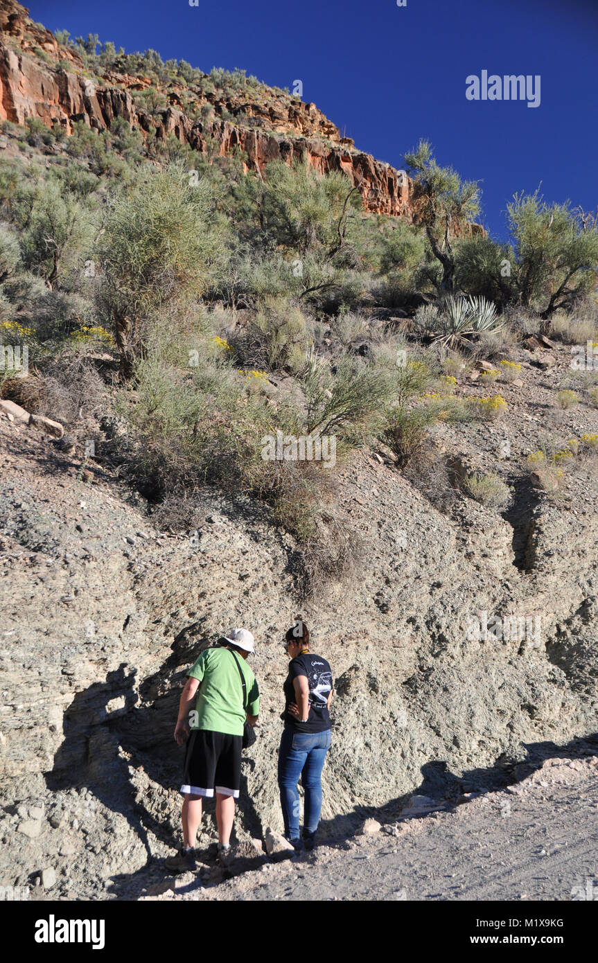 Geologen und Studenten Prüfung Belichtungen des Präkambriums und Cambrian Felsen in Peach Springs Canyon, Grand Canyon, AZ, USA ausgesetzt Stockfoto