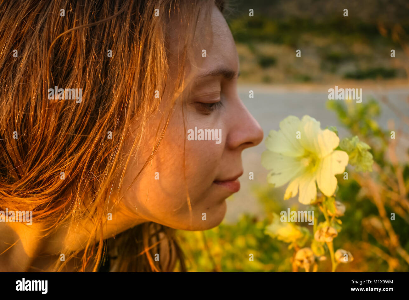 Close-up Gesicht der jungen Mädchen und gelbe Blume im Sommer Sonnenuntergang. Stockfoto