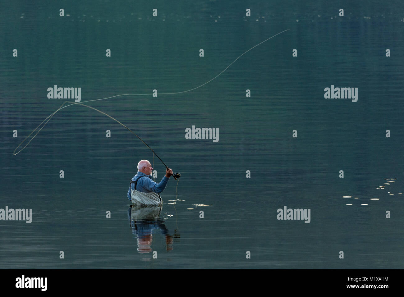 Fischer, Taille tief in sehr ruhigem Wasser, während Fliegen - Casting. Stockfoto