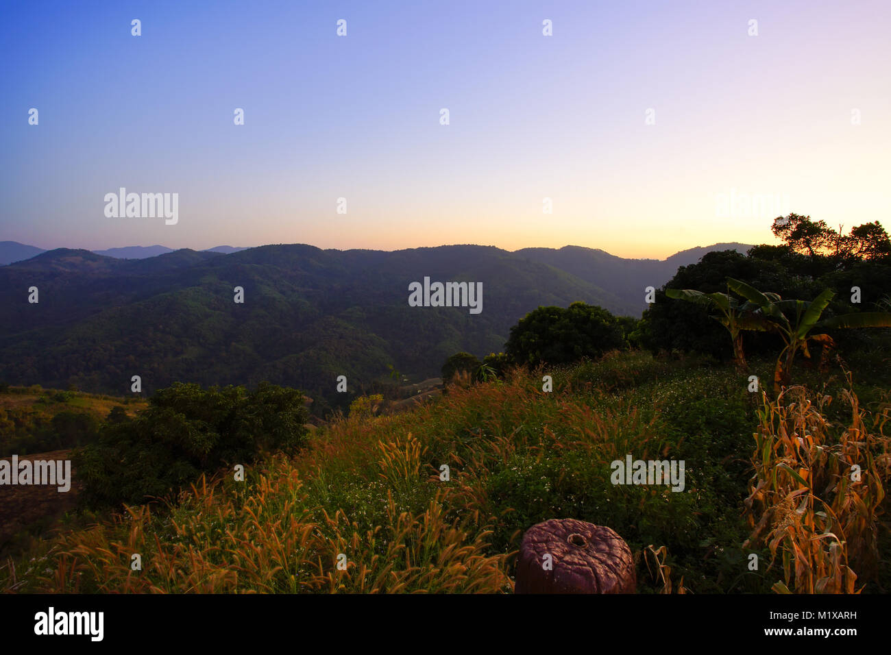 Blick in die Natur Berg, Wald und blauer Himmel vor Sonnenuntergang Stockfoto