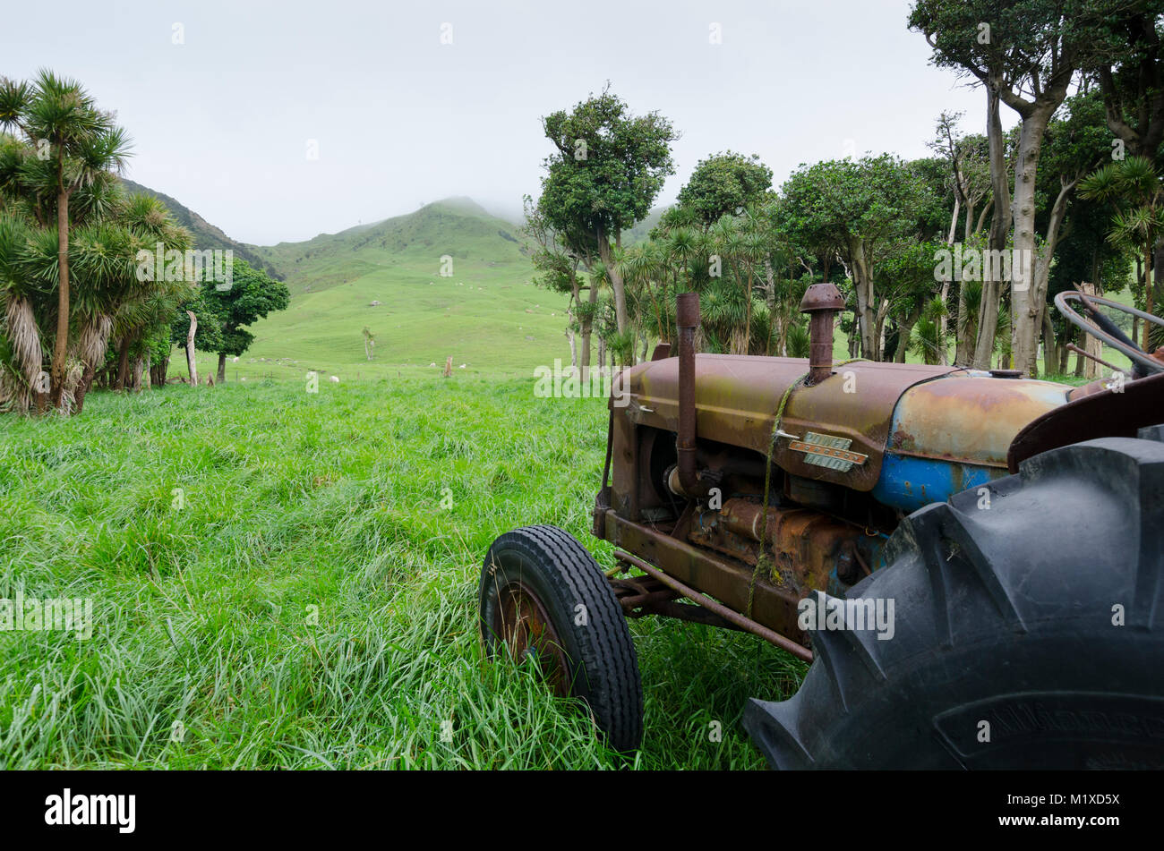 Fordson Power Major Traktor, Glenburn, Wairarapa, Neuseeland Stockfoto