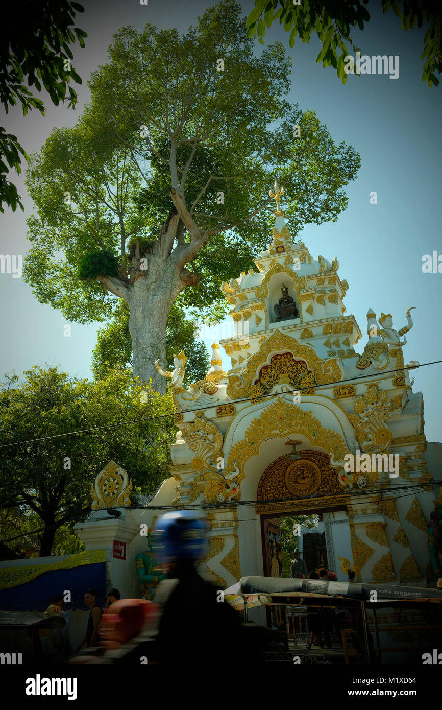 Das Tor der Wat Chedi Luang in Chiang Mai, Thailand. Stockfoto