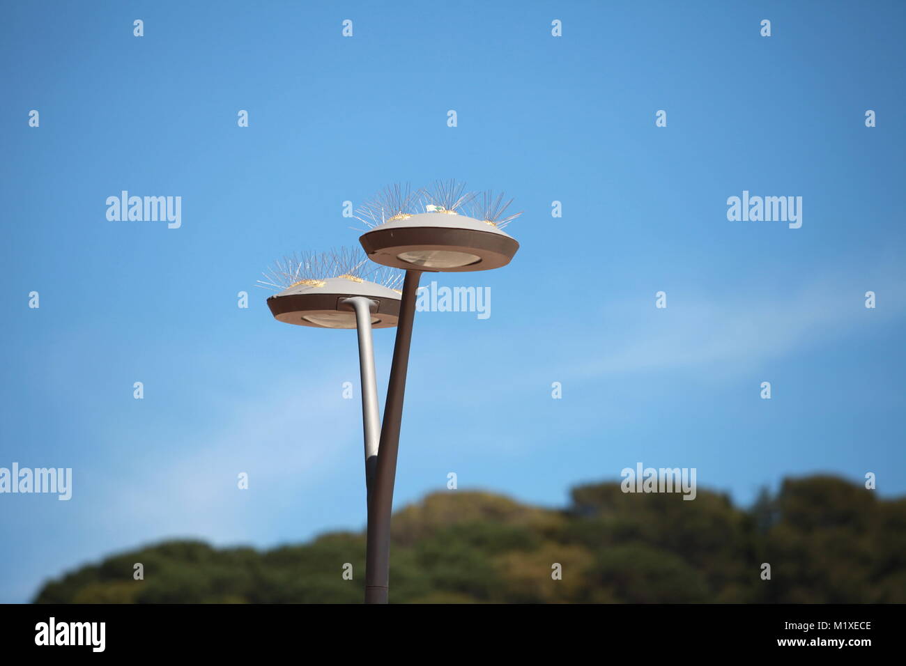 Stachelige Streetlight gegen einen klaren blauen Himmel Stockfoto