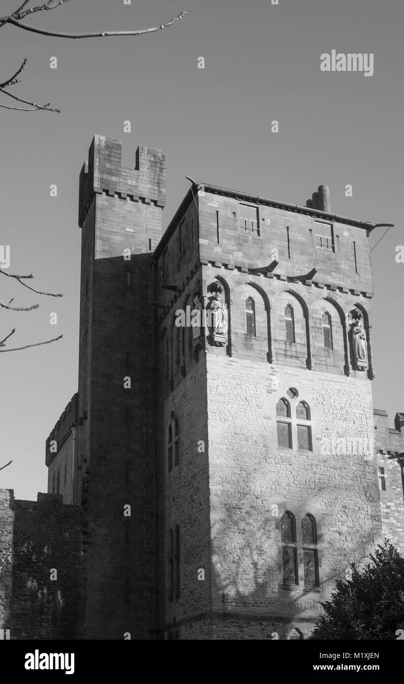 Das Schloss von Cardiff Anzahl Stockfoto