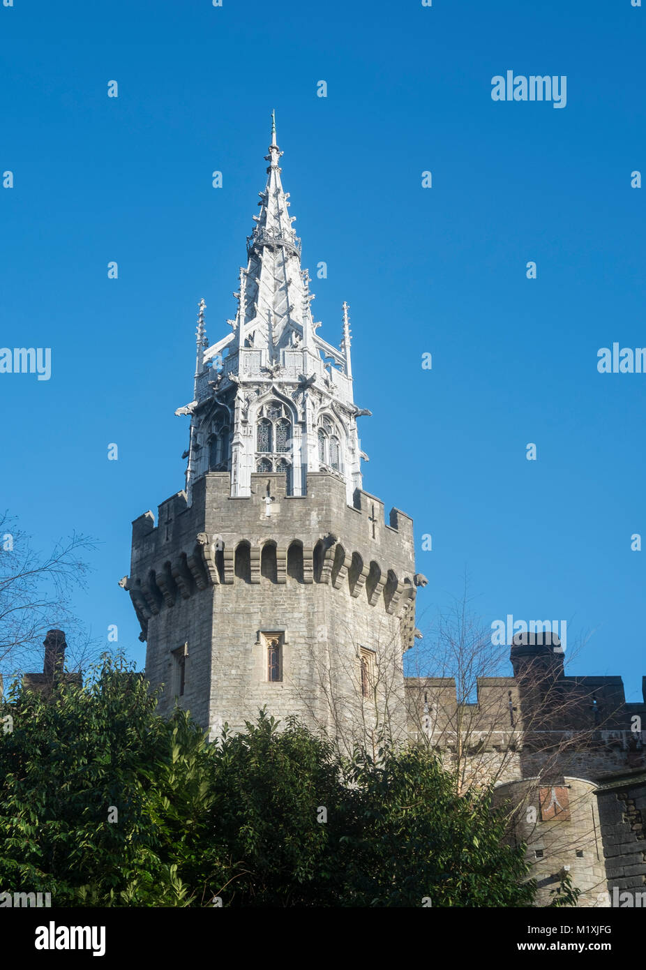 Das Schloss von Cardiff Nummer 3660 Stockfoto