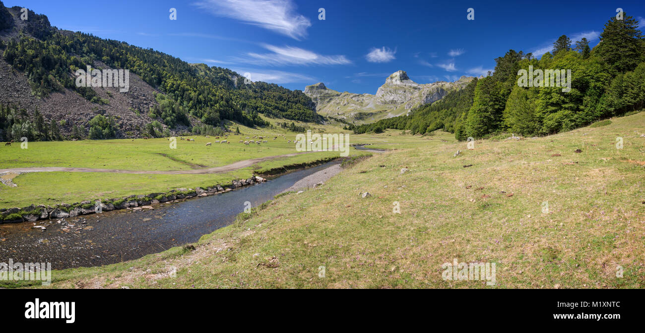 Panoramablick in die Ossau Tal in den Pyrenäen, Frankreich Stockfoto