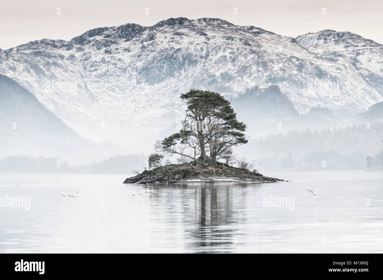 Derwentwater See mit kleiner Insel und einzelnen Baum mit schneebedeckten Berge in der Ferne im Lake District, Cumbria England UK. Stockfoto