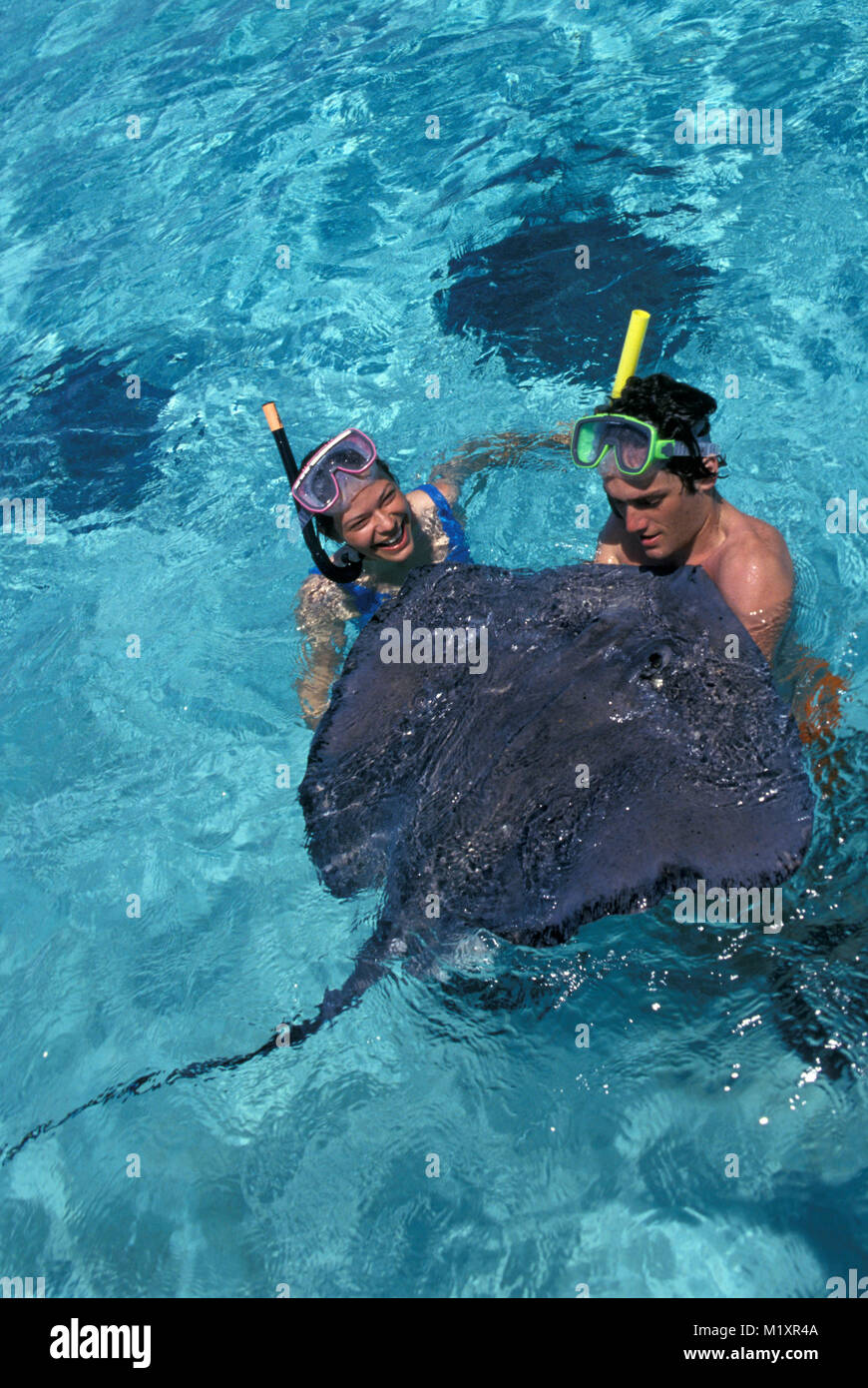 Cayman Islands. Grand Cayman. Spielen mit Stachelrochen. Touristen. Stockfoto