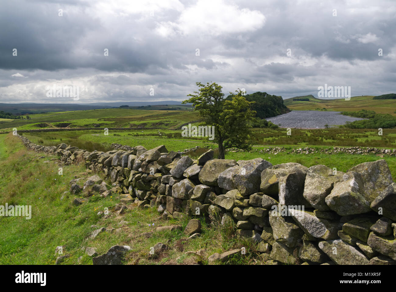Blick über Hadrian's Wall. Landschaft Landschaft mit Bäumen, den See und die dramatischen Himmel mit alten Steinmauer als führende Linie Stockfoto
