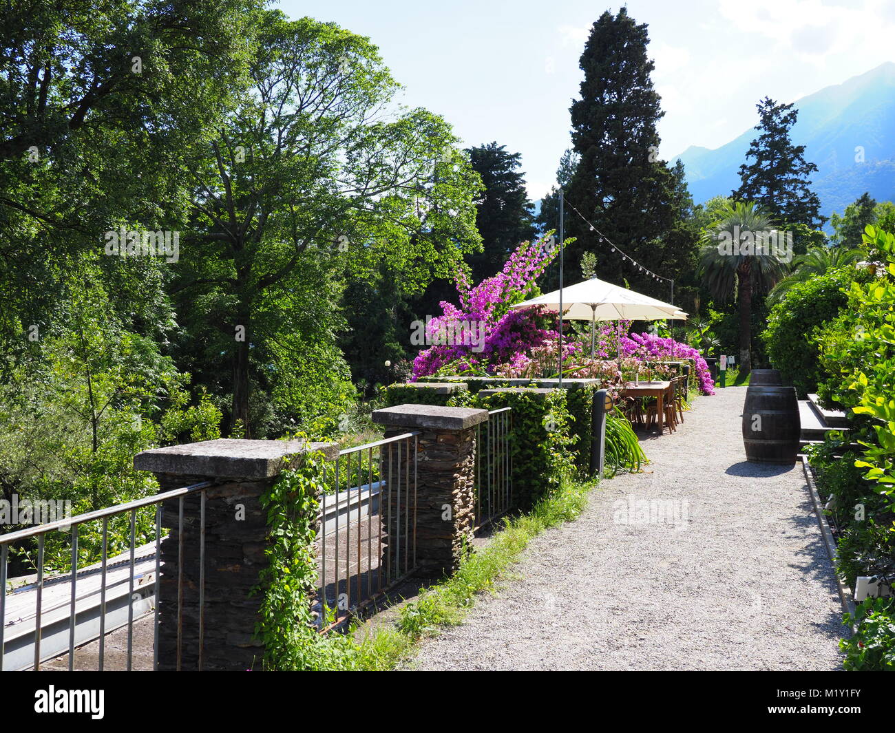Lila Blumen Schweiz Stockfotos und -bilder Kaufen - Alamy