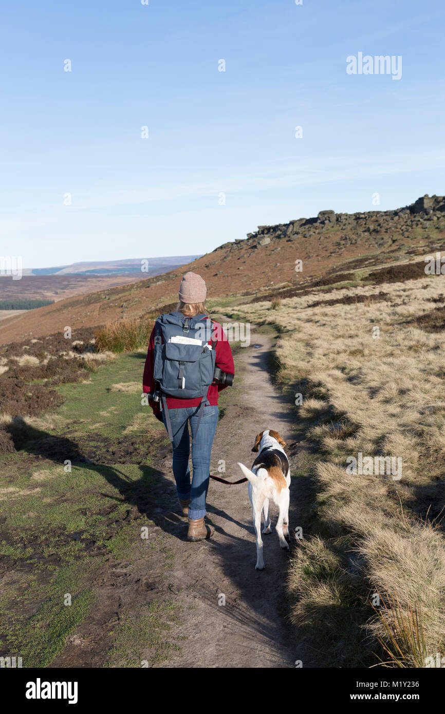 Großbritannien, Derbyshire, Peak District National Park, ein Walker und ihr Hund Wandern auf dem Fußweg zu Stanage Edge. Stockfoto