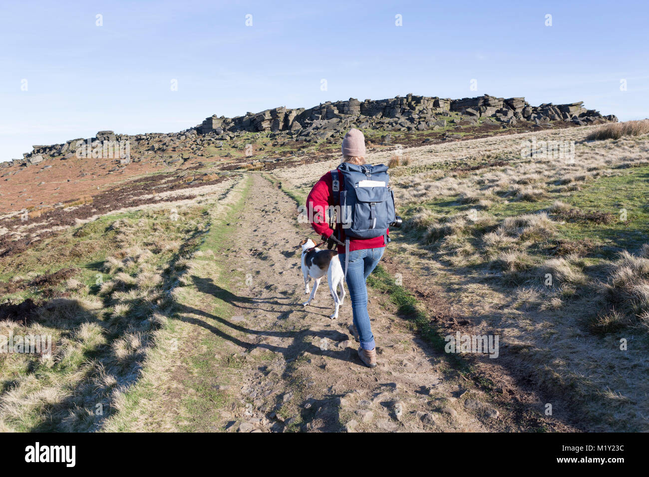Großbritannien, Derbyshire, Peak District National Park, ein Walker und ihr Hund Wandern auf dem Fußweg zu Stanage Edge. Stockfoto