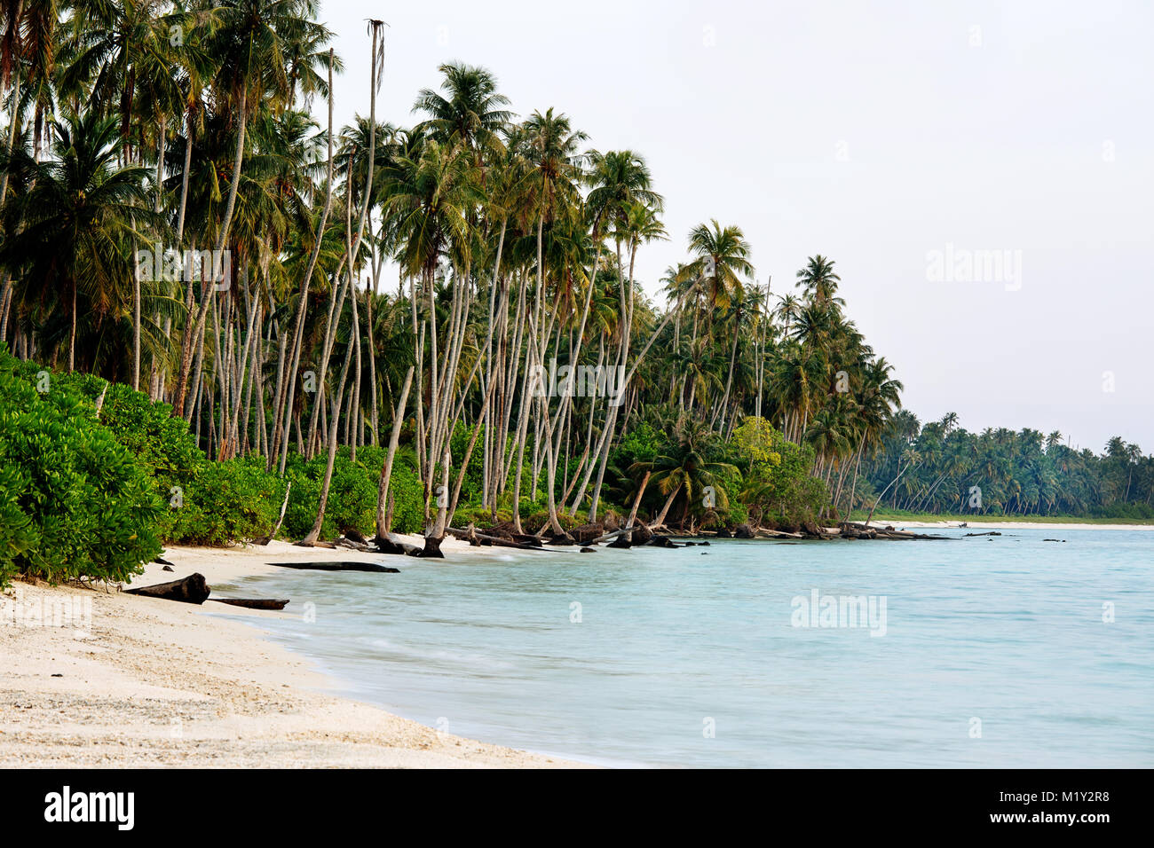 Schönen tropischen Sandstrand bei Dämmerung Stockfoto