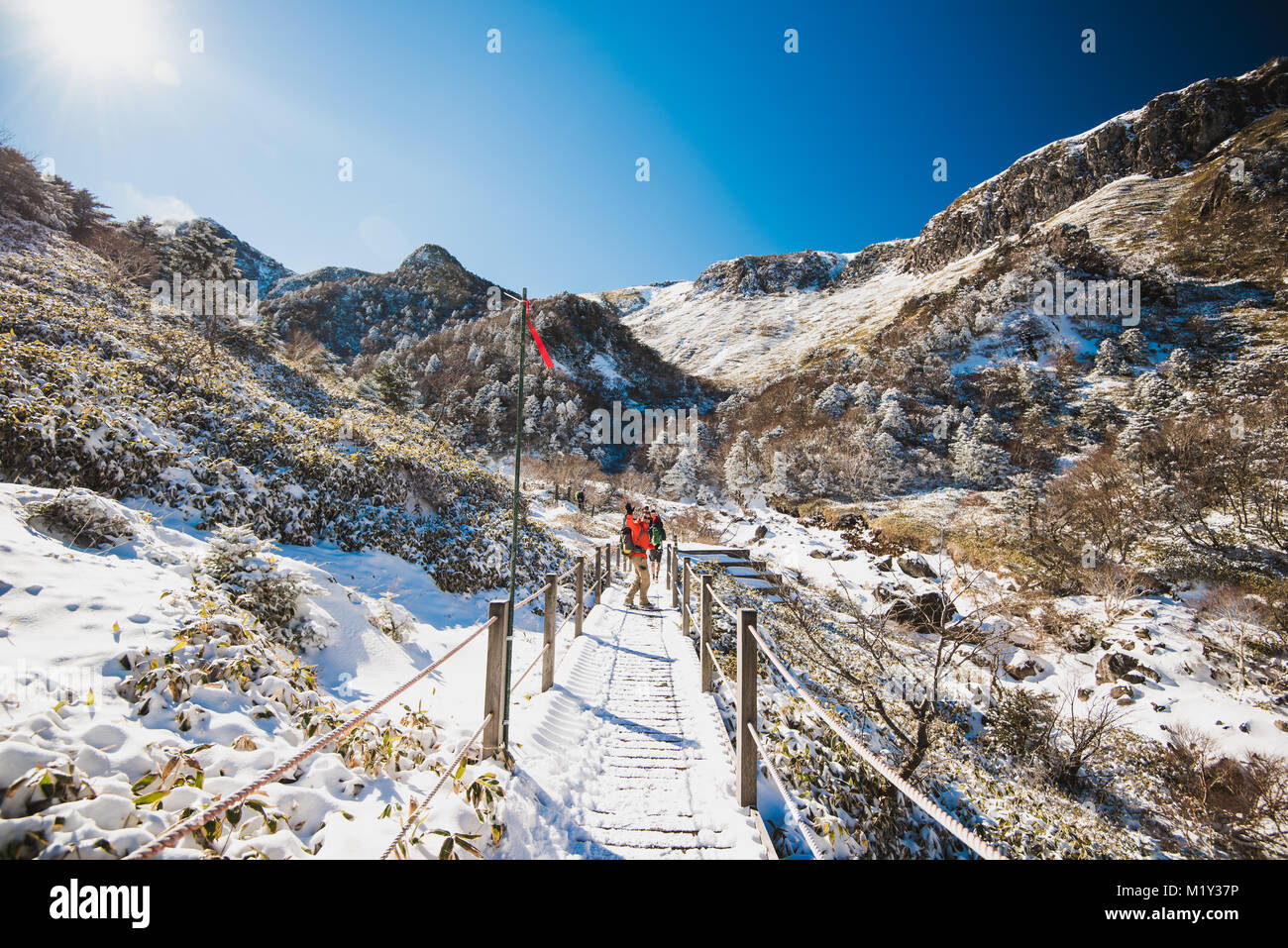 Wandern Berg Hallasan, der höchste Gipfel in Korea nach einem Schneesturm in der Nacht vor. Stockfoto