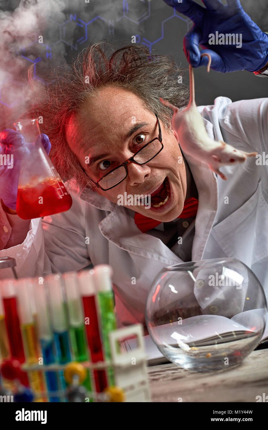 Verrückter Wissenschaftler kreischen dabei Experiment auf weiße Maus Stockfoto
