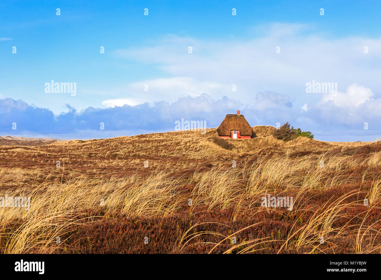 Traditionelle dänische Haus in den Dünen Stockfoto