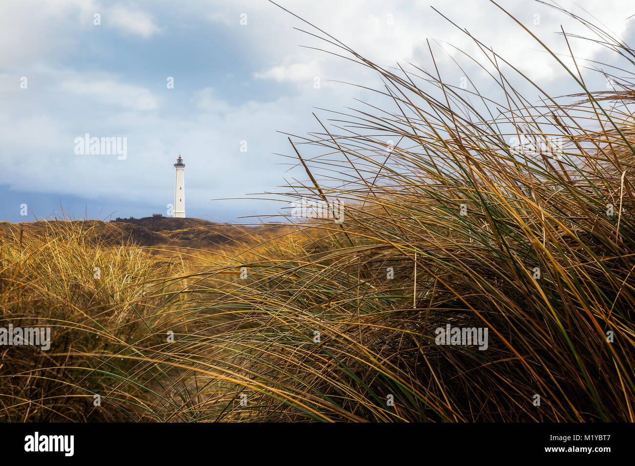 Lyngvig Fyr in den Dünen Stockfoto