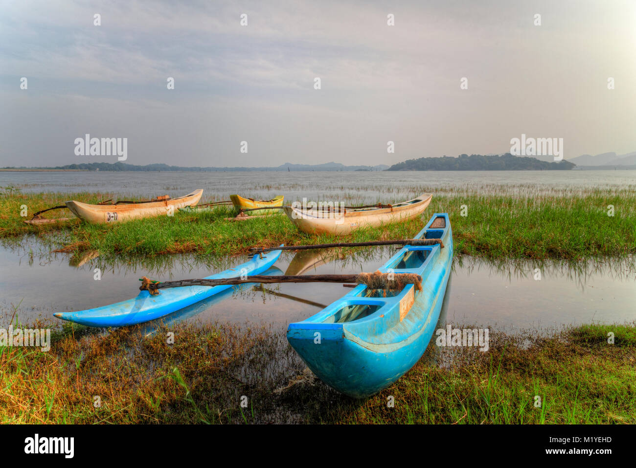 Kandalama See, zentrale Provinz, Sri Lanka, Asien Stockfoto