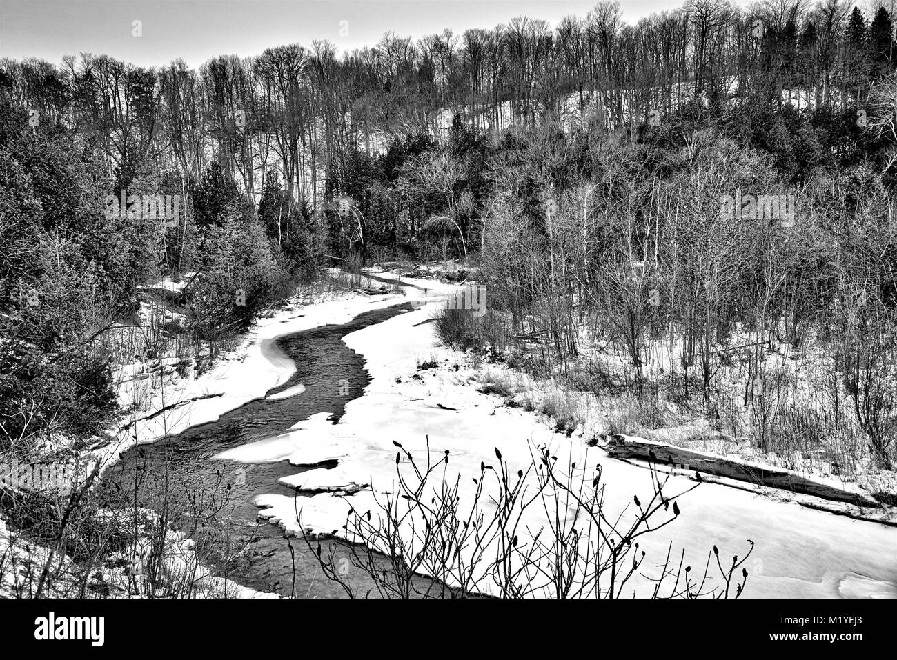 Winter landscape in black forest -Fotos und -Bildmaterial in hoher