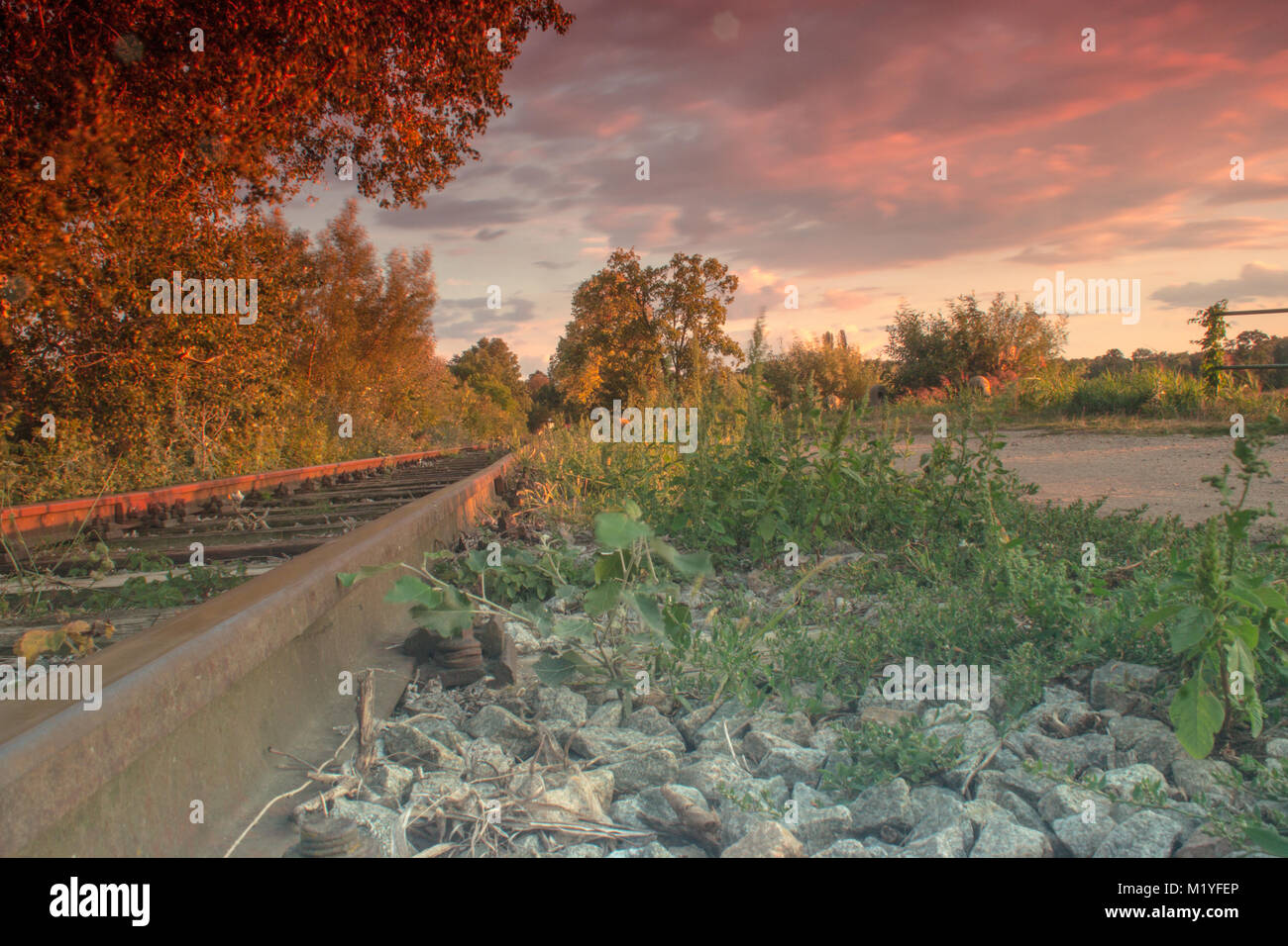 Im Vordergrund sind Steine, Bäume und Büsche. Im Hintergrund sind rot beleuchtet Wolken bei Sonnenuntergang. Eisenbahnschienen laufen hinter dem Horizont. Stockfoto