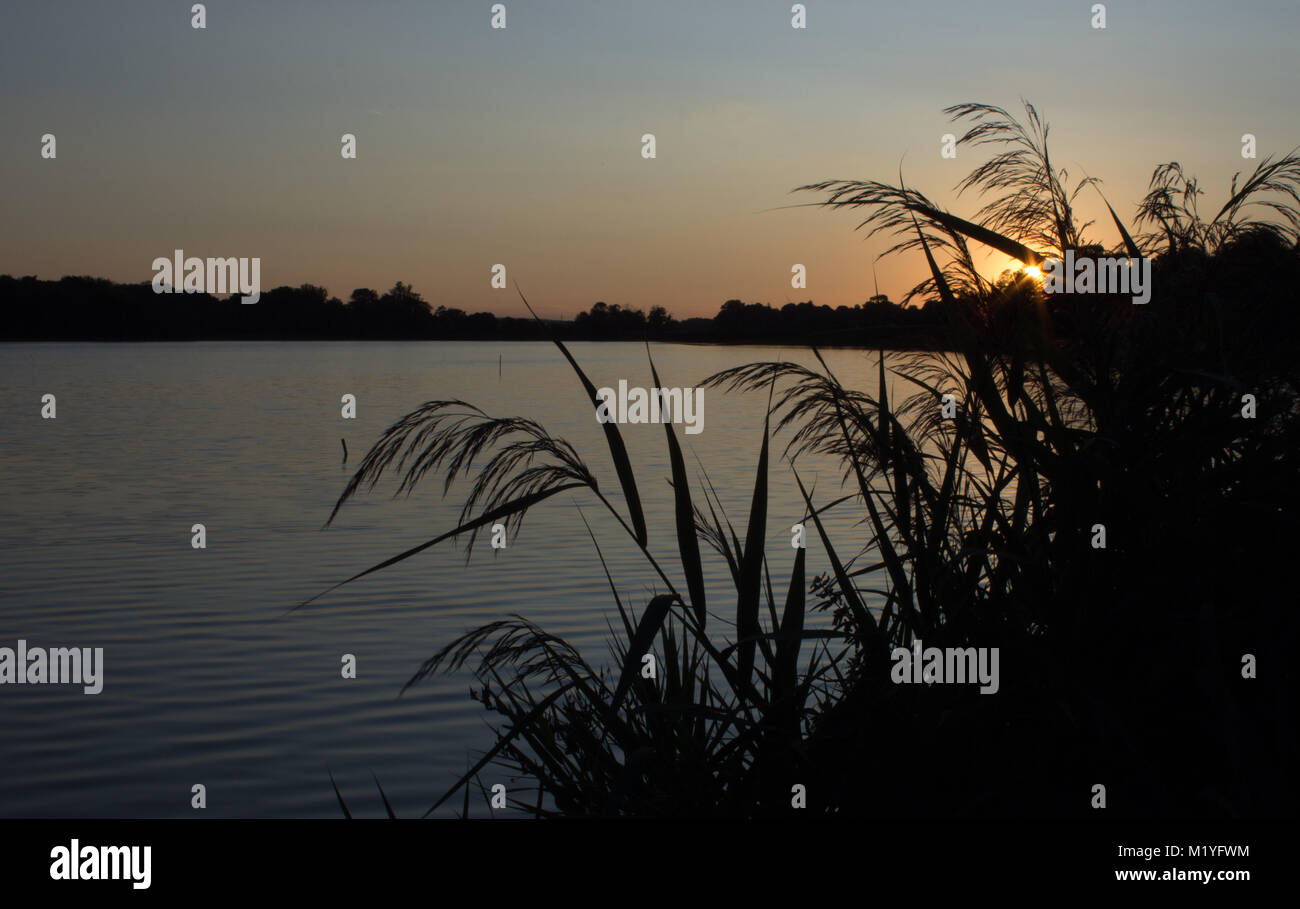 Die untergehende Sonne spiegelt sich im Wasser des Sees spiegelt. Im Vordergrund stehen die travins und Sträucher. Stockfoto