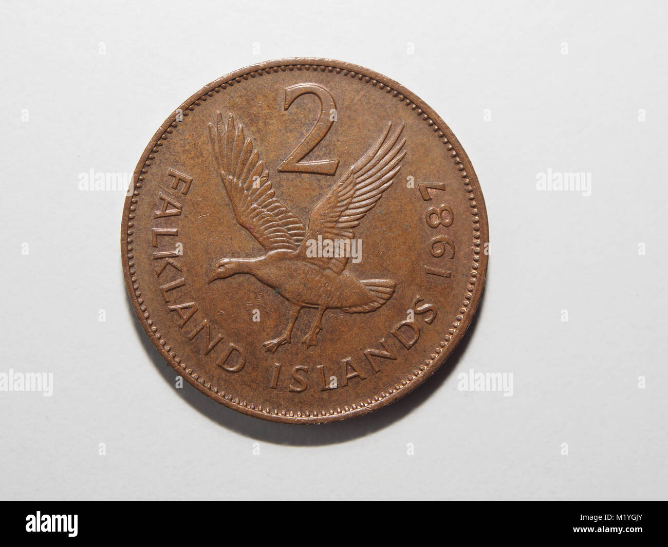 Ein falkland inseln zwei Pence Münze Stockfoto