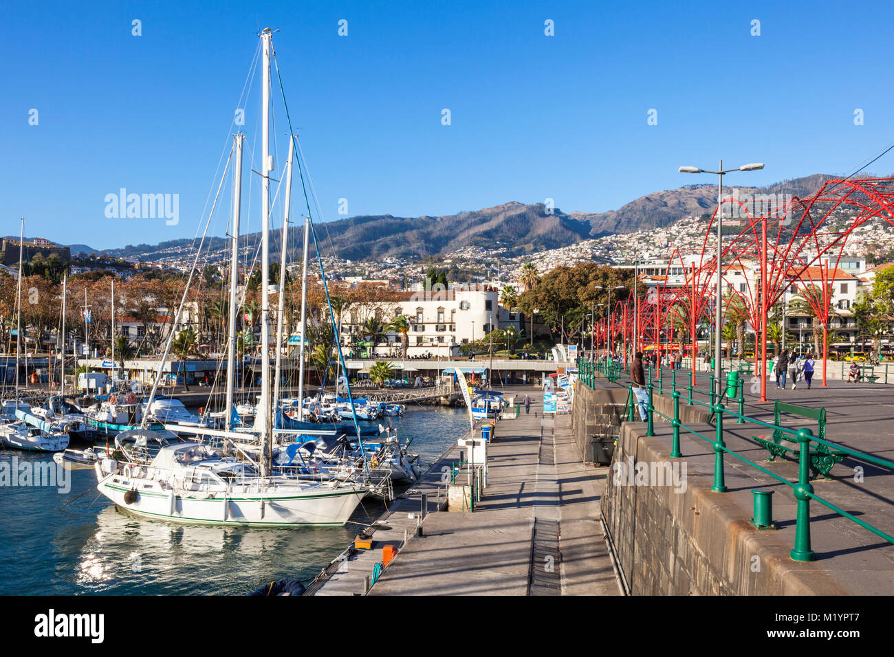 MADEIRA PORTUGAL MADEIRA Marina mit vielen Yachten und Boote im Yachthafen von Funchal am Hafen von Funchal Madeira Portugal EU Europa Stockfoto