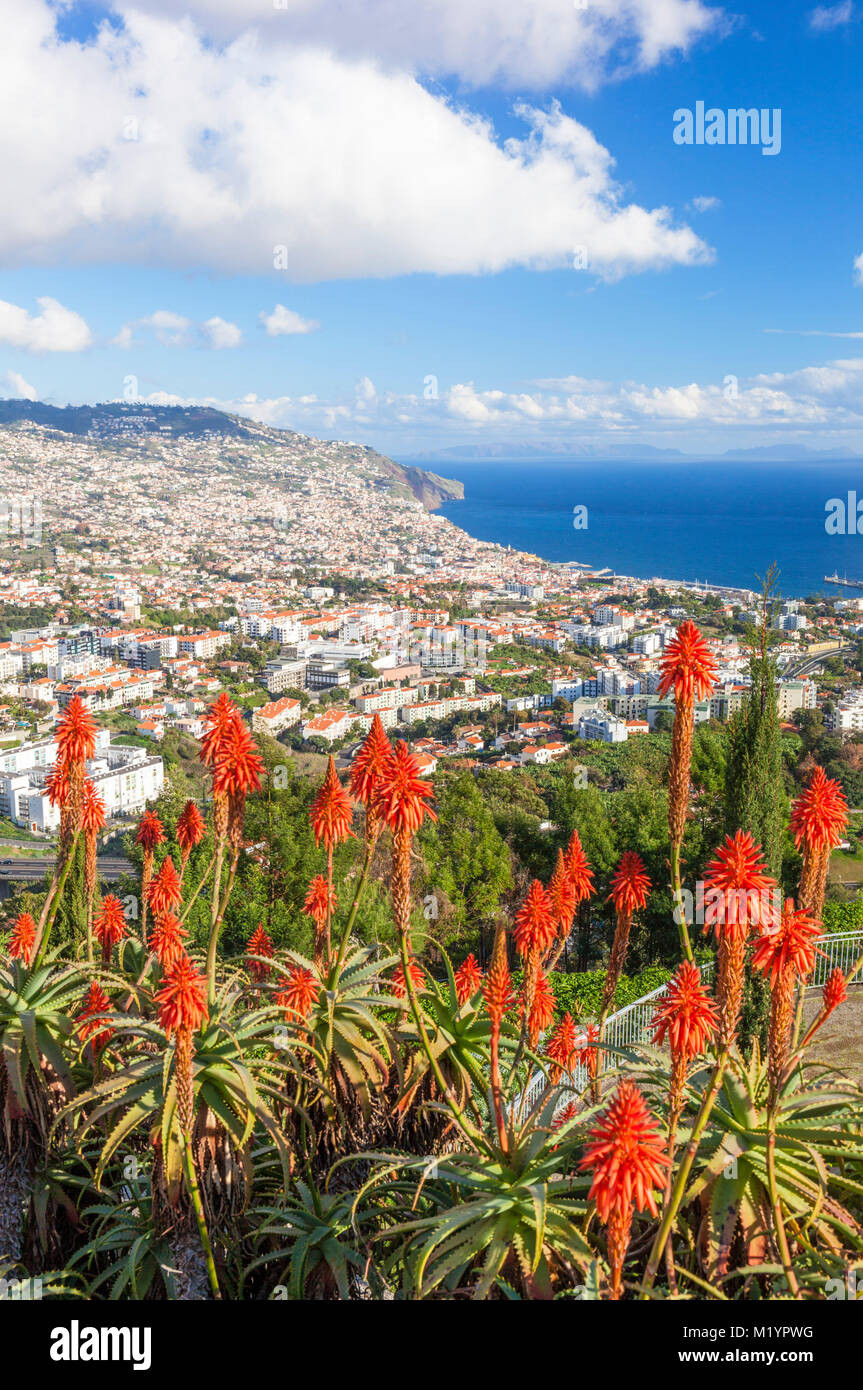 Madeira Portugal Madeira Blick auf Funchal, der Hauptstadt von Madeira über die Bucht und Hafen Altstadt Funchal Madeira Portugal Europa suchen Stockfoto