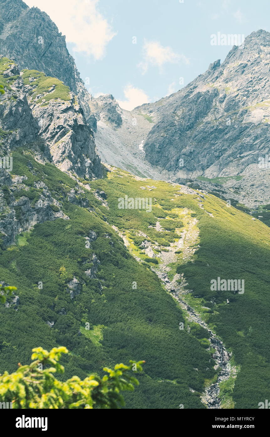 Berglandschaft in der Hohen Tatra im Sommer Stockfoto