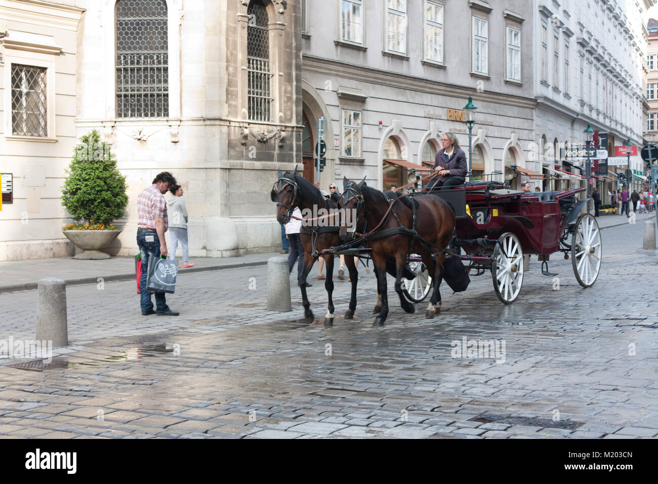 Fiaker in Wien in der Nähe von St. Stephan's Cathedral Stockfoto
