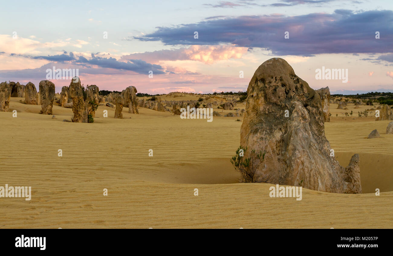 Limestone pinnacles aus Kalk gebildet - reiche Sands von Muscheln in einer viel früheren Zeit erstellt. Die pinnacles entstehen aus einer sandebene oder Erg. T Stockfoto