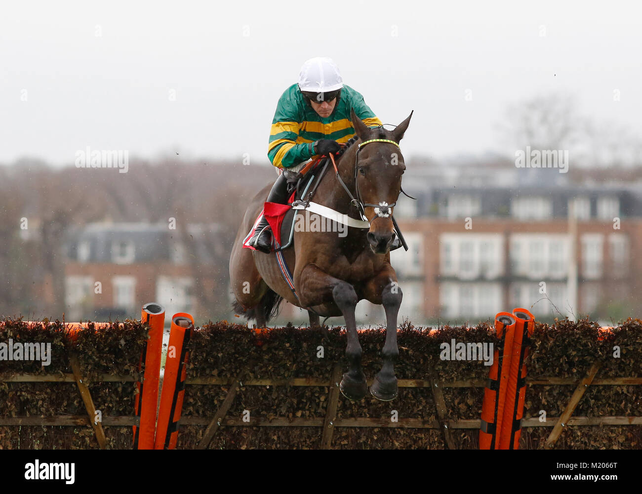 Buveur D'Air und Barry Geraghty klar einen frühen Flug auf, bevor Sie die BETFRED unterstützt, wenn Jack Berry House' Kämpfer Hurdle Race bei Betfred Tag bei Sandown Park Rennbahn zu gewinnen. Stockfoto