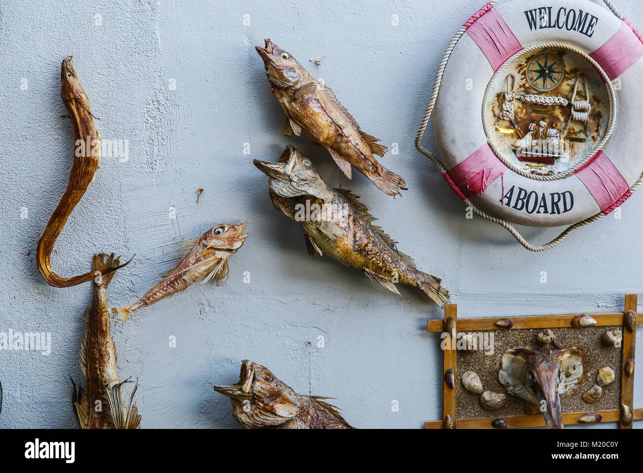 Getrockneter Fisch über weiße Wand verwenden für die Dekoration Stockfoto