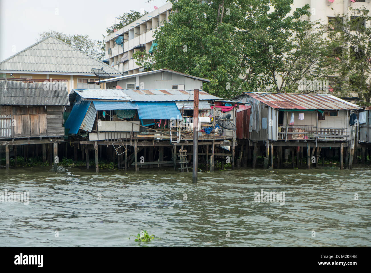 Die Holzhäuser am Mae Nam Chao Phraya Fluss in Bangkok. Stockfoto