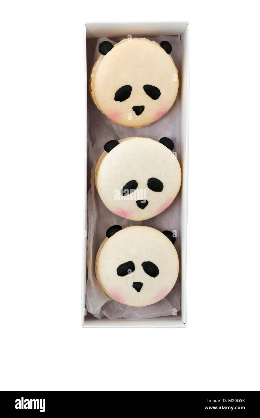 Drei Panda-Makronen in einer Schachtel Stockfoto