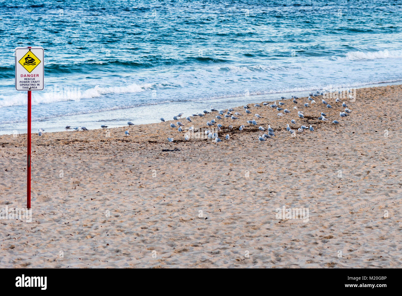 Leeren Strand, Möwen, ruhigen blauen Pazifischen Ozean mit Warnschild, tagsüber. Schritte auf Sandstrand und Schwarm Vögel in ruhiger Tasman Sea. Stockfoto