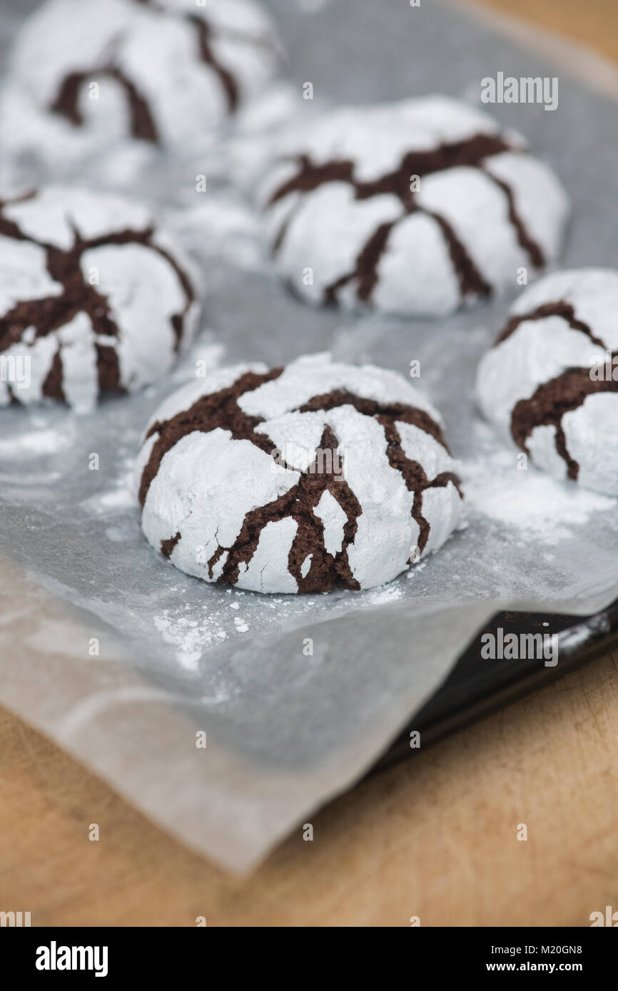 Hausgemachte Schokolade Crinkle Cookies auf ein Backblech und Holzbrett Stockfoto