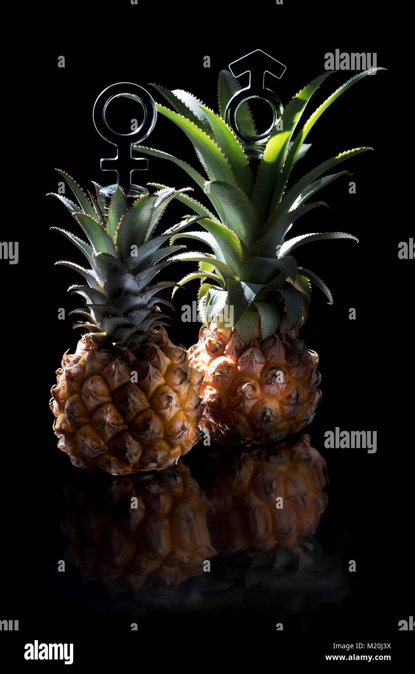 Ananas Stück, Paar Ananas Stockfoto