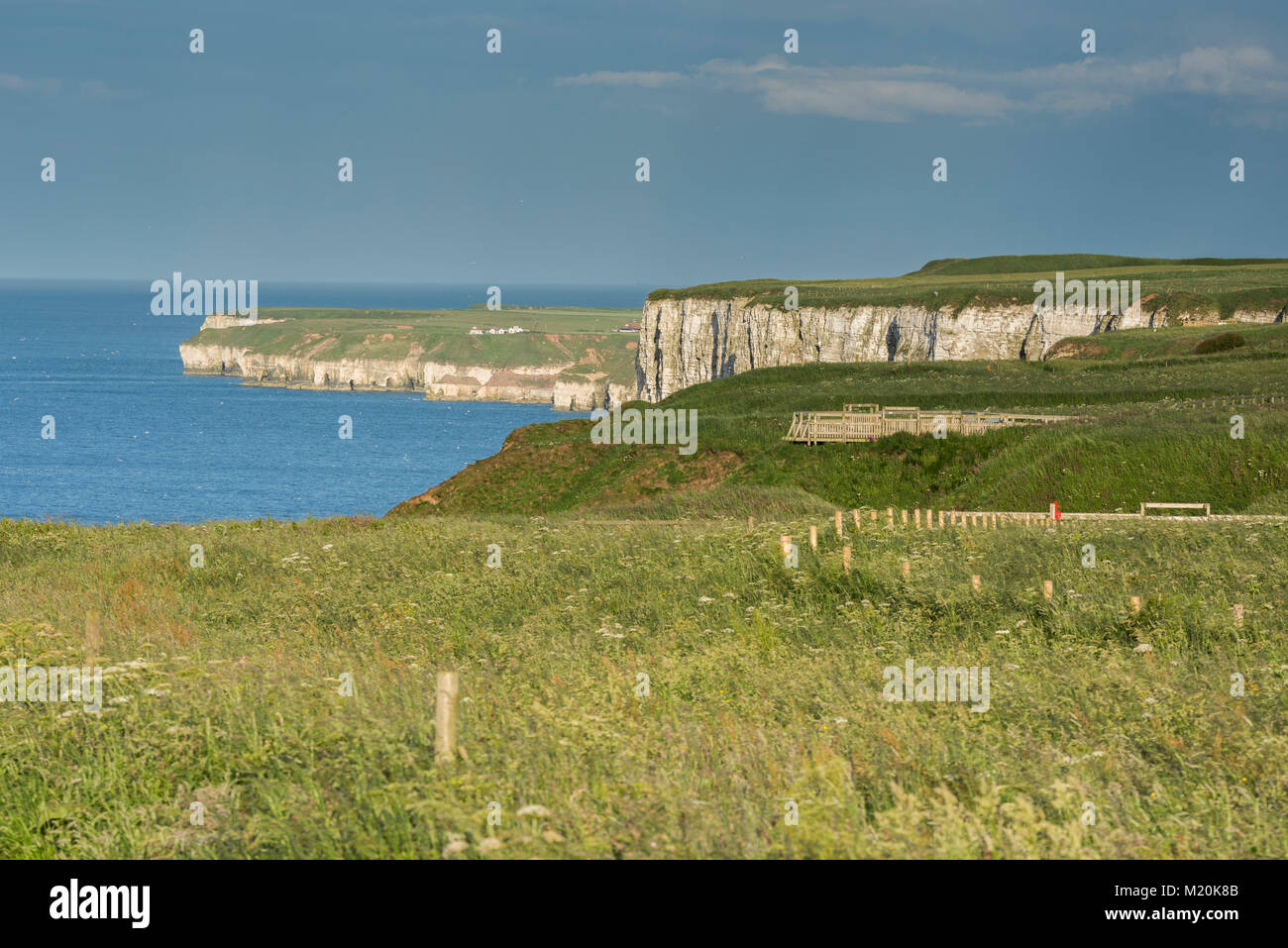 Malerische Klippen der Küste Blick von Bempton Cliffs RSPB Reservat, blauem Himmel, Nordsee und hoch aufragenden Chalk Vorgewende & Klippen - East Yorkshire, England. Stockfoto