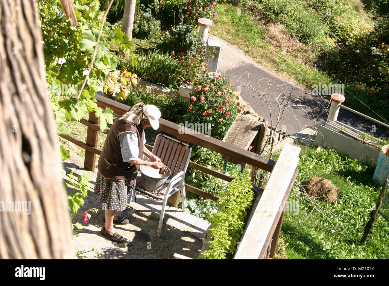 Alte Frau in ihren Hof in dem Dorf Vals, im Norden von Italien arbeiten Stockfoto
