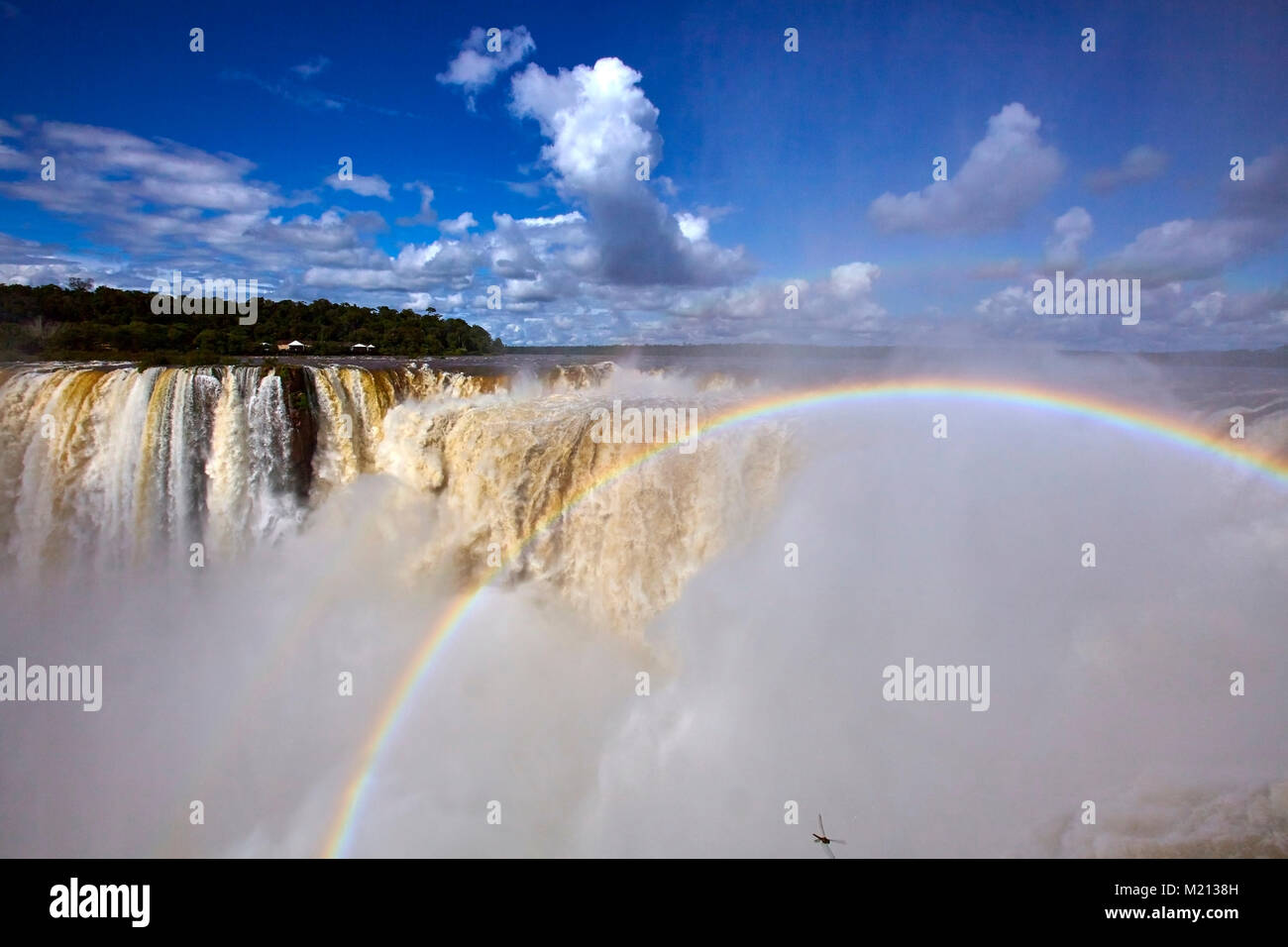 Falls Iguacu - Argentinien Stockfoto