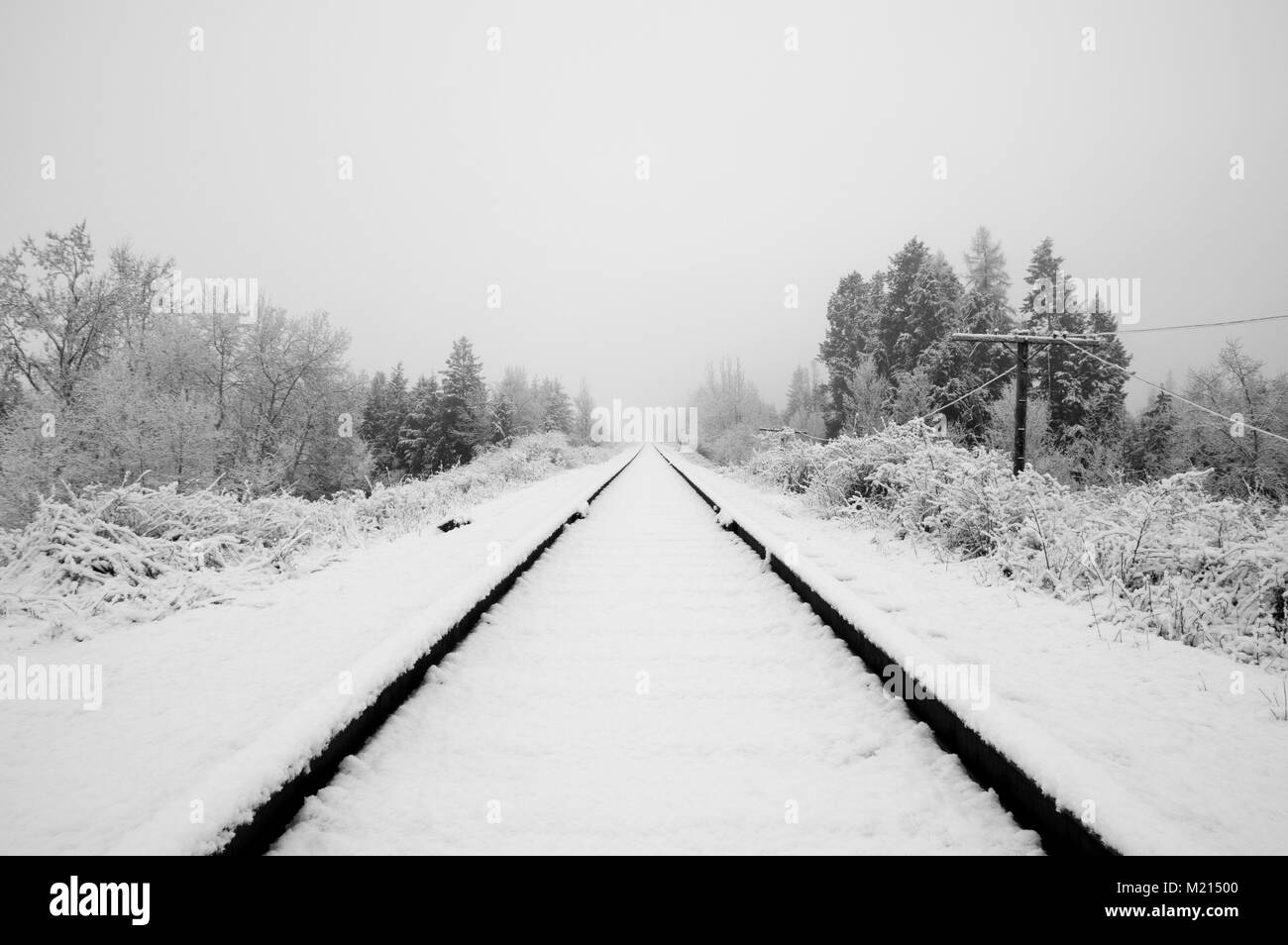 Creston Valley, British Columbia, Kanada. Schnee bedeckt Eisenbahnlinie in Schwarzweiß. Stockfoto