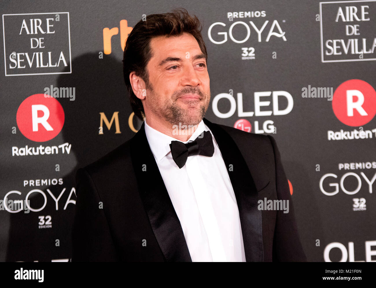 Madrid, Spanien. 3. Februar, 2018. Während der rote Teppich der Spanischen Filmpreis "Goya" am 3. Februar 2018 in Madrid, Spanien. © David Gato/Alamy leben Nachrichten Stockfoto