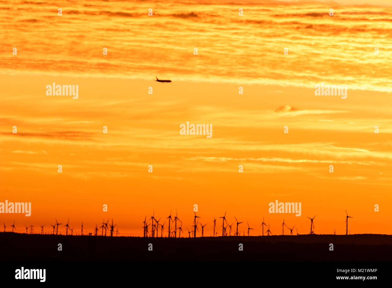 : Windräder (Windturbinen) im Marchfeld, Flugzeug, Flugzeuge, Marchfeld, Niederösterreich, Lower Austria, Austria Stockfoto
