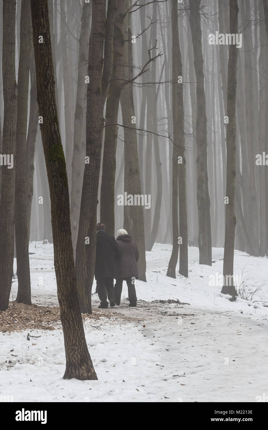 Ältere Paare gehen in den Wald in der nebligen Wintertag Stockfoto