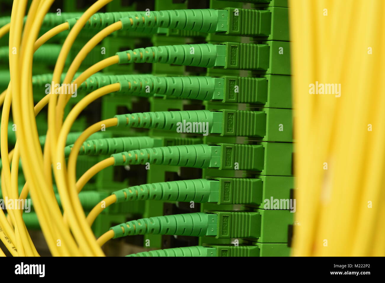 Lwl-Kabel mit Stecker Typ SC-APC Single Mode im Rechenzentrum Stockfoto