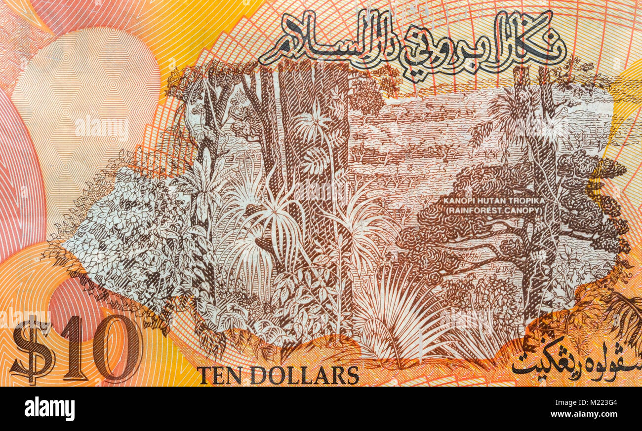 Brunei 10 Ringgit Banknoten Stockfoto