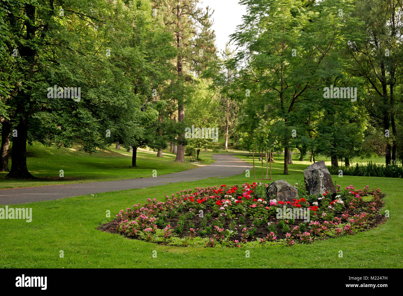 WA 13241-00 ... WASHINGTON - Kleine Blume an Hanito Park in Spokane. Stockfoto