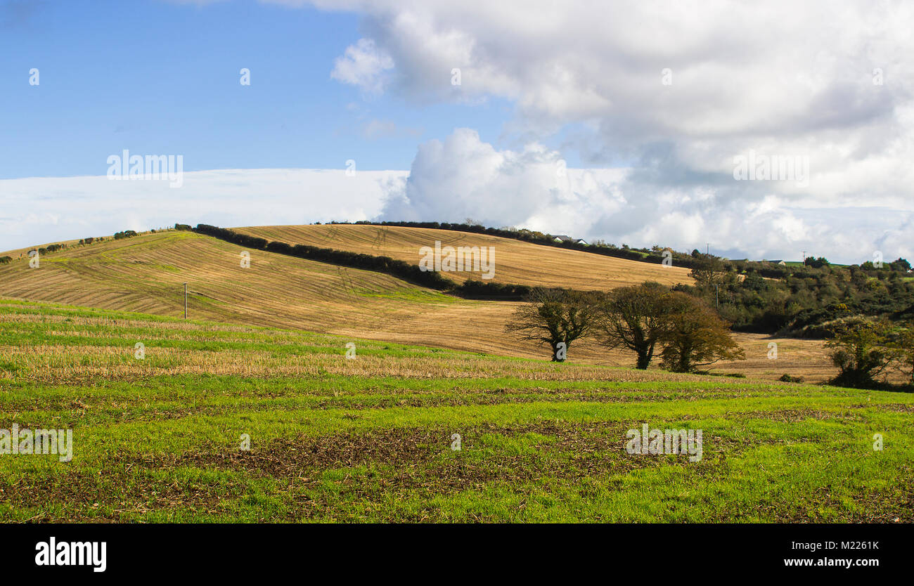 Typisch sanften Hügeln und Tälern der Grafschaft unten in Nordirland in der Nähe von Kircubbin auf dem Ards Halbinsel. Stockfoto